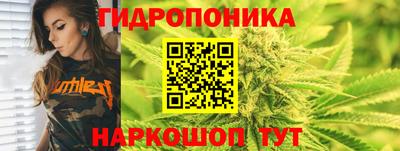 прущие крисы Анжеро-Судженск