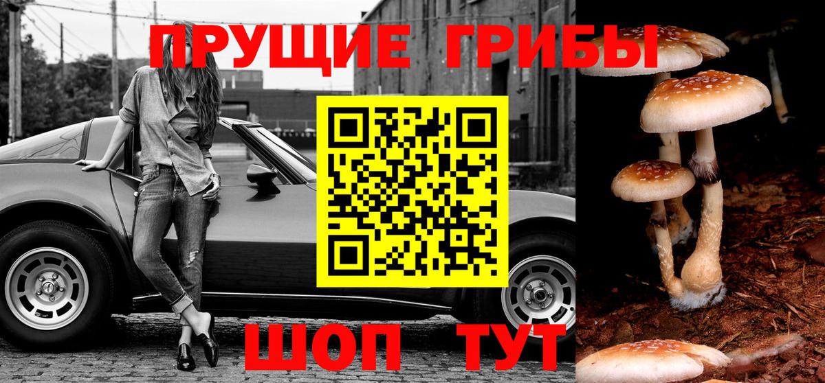 Анжеро-Судженск  Галлюциногенные грибы ЛСД  Вход с VPN 
